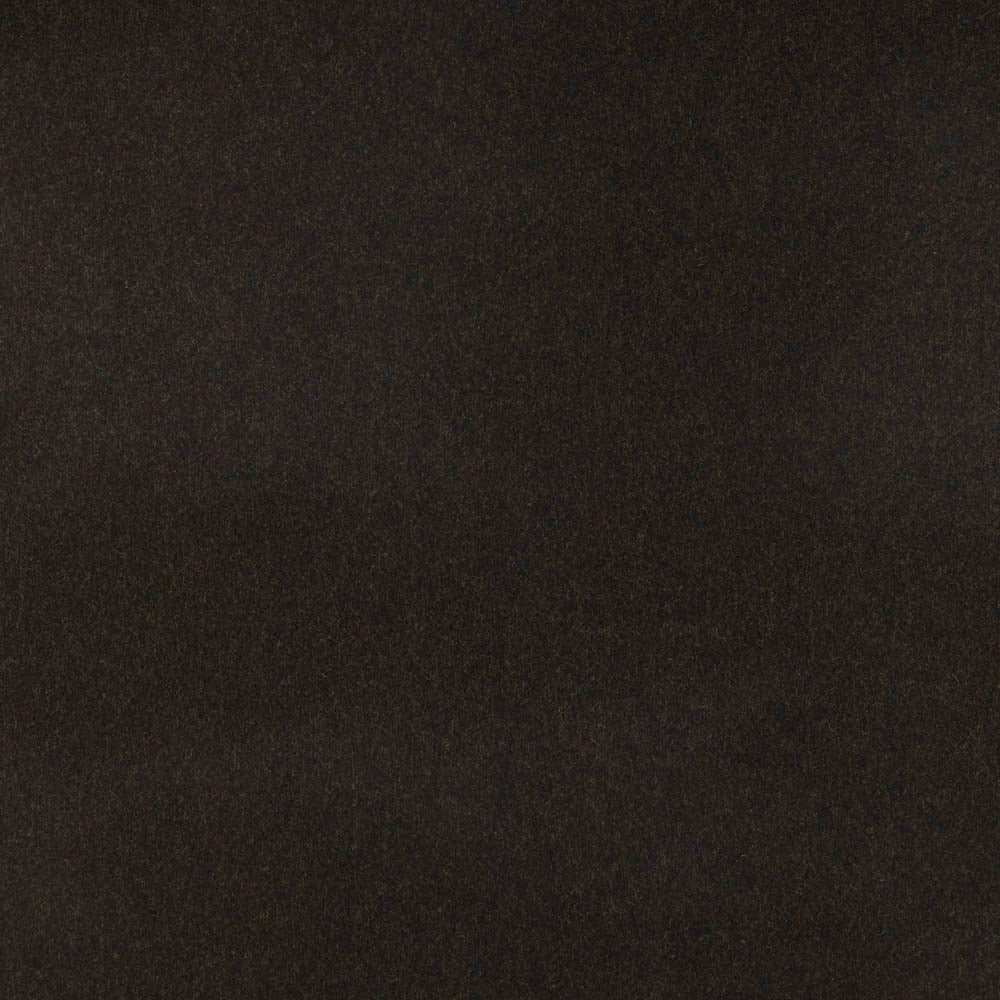 Arabica
