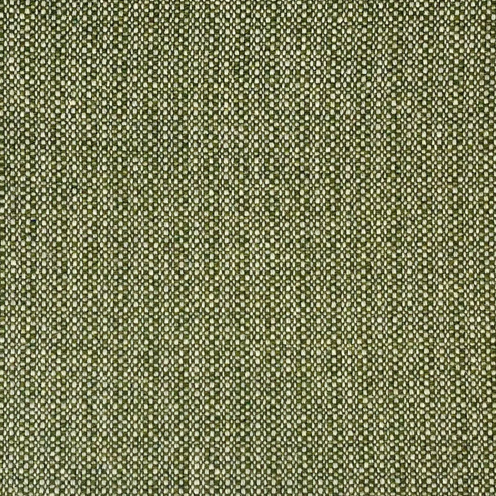 Moss